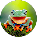 kogaa profile picture